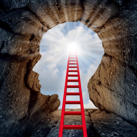 Ladder inside a mind