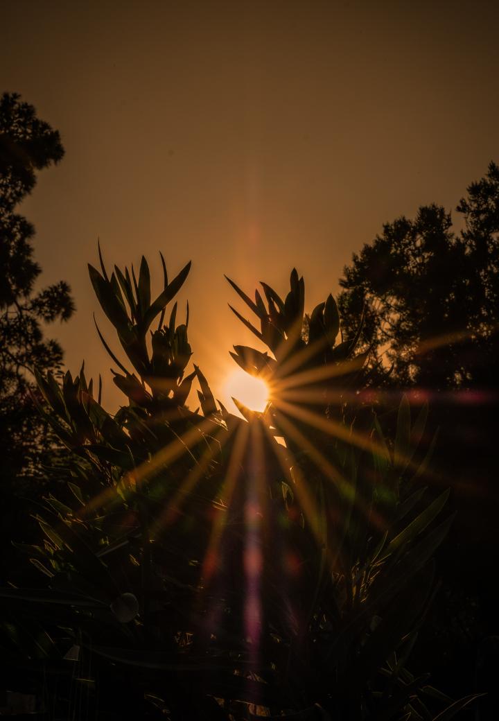 sunset