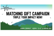 Matching Gift Campaign Featured Image
