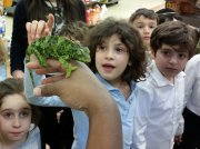 Children viewing an Iguana